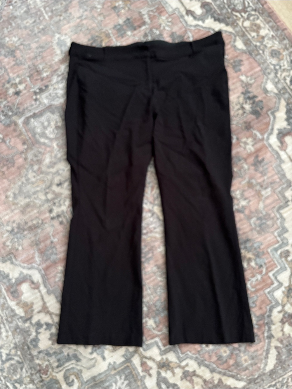 Lane Bryant Allie Pants